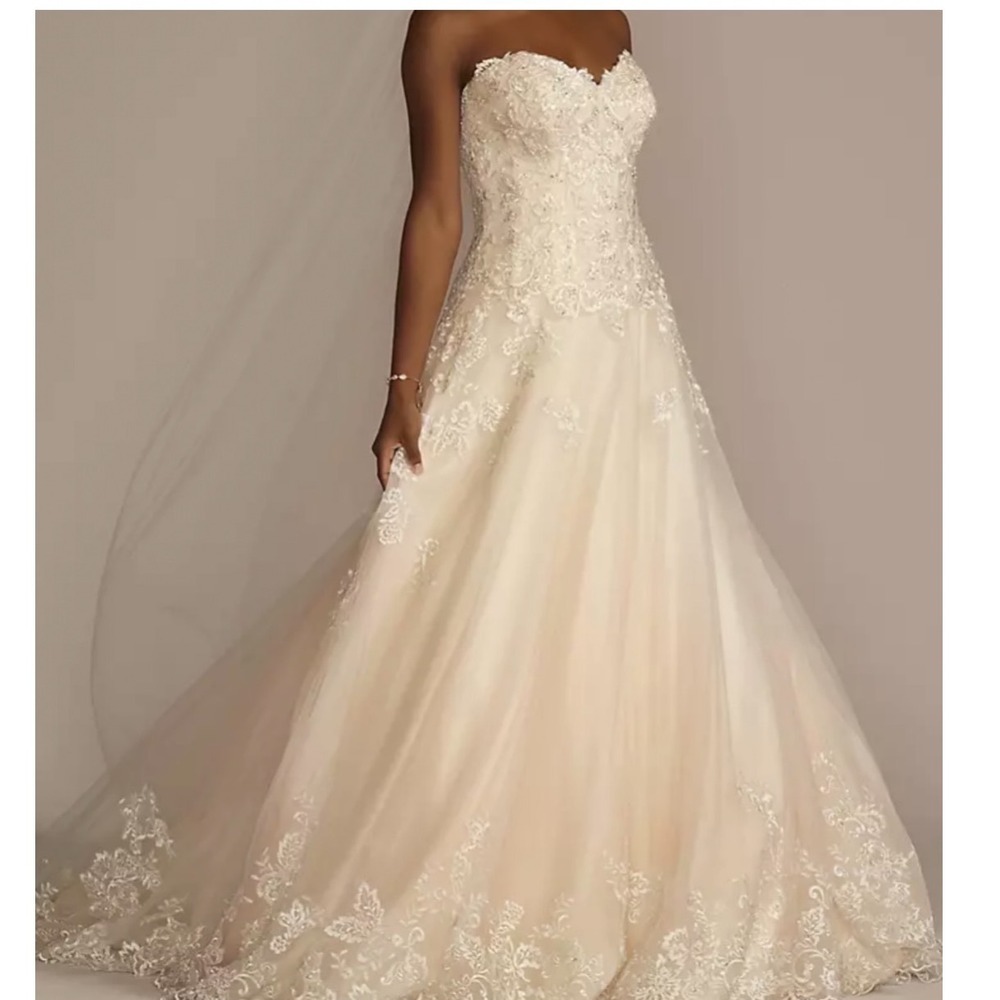 David's Bridal JEWEL V3836 Vintage Rose Wedding Dress Sz 8 Ball Gown + $450 Veil
